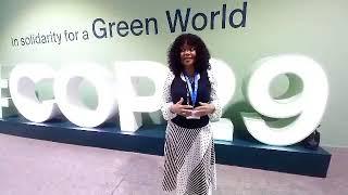 Maria Aife Foundation  at CoP29, Baku Azerbaijan