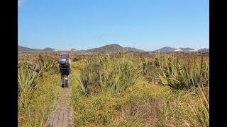 Rakiura (Stewart Island)