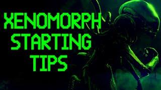 XENOMORPH STARTING TIPS  | Dead by Daylight