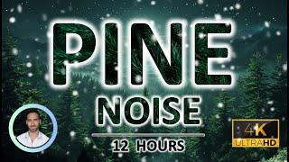 Pine Forest Sleep Noise | Relaxation & Meditation | 12 Hours | BLACK SCREEN | Tinnitus & Anxiety