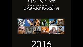 Боди-Арт Календарь 2016 - заповедных животных Горного Алтая. Body-art calendar Altai animals