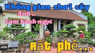 Không gian chơi cây nhà anh Lam bánh ngọt Thái Bình