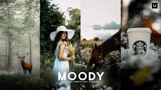Moody Preset | Lightroom Presets Free DNG and XMP Download | Lightroom Photo Editing Tutorial