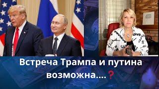   Встреча Трампа и путина возможна......   Елена Бюн