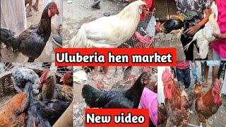 Uluberia murgir hat notun video ।। Uluberia Hen market new video ।।