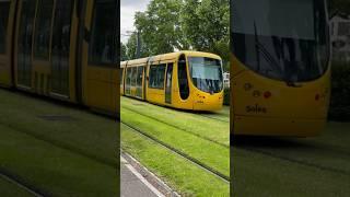 I am a huge sucker for green tram tracks.