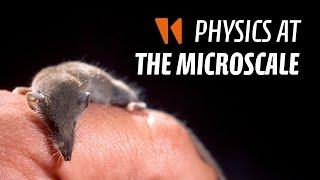 Microfluidics Adventures #1: Physics at the microscale
