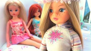 Sindy doll collection