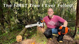 The FIRST Tree I Ever Felled | Stihl MS250 in Action | Tree Felling in Japan!