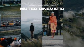 Cinematic muted tone Free Lightroom presets - free Lightroom presets #461