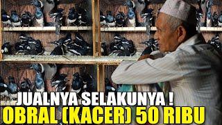 SEDIH GA LAKU LAKU KAKEK INI JUAL CUMA 50 RIBU DAPET KACER, 150 RIBU DAPET MURAI MH BUAT BELI BERAS