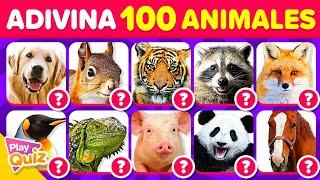 Adivina 100 Animales en 2 Segundos | PlayQuiz Trivia - Quiz Animales