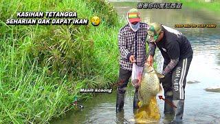 Mancing di sungai liar dapat ikan mas sebesar ini sampai kuwalahan