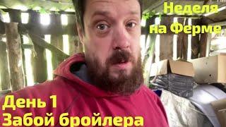 Забой кур и праздник! День 1! Неделя на ферме, Лето-Осень 2024г.