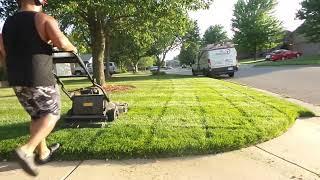 Final Leaf Clean Up NE and NW Yard Mow Intro To BioAdvanced Application