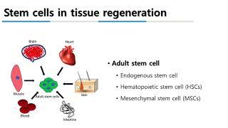 Tissue repair and regeneration with endogenous stem cells