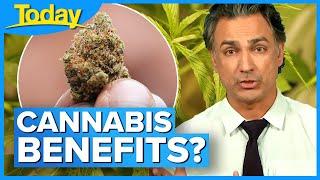 Could cannabis become a medical staple? New research reveals more benefits | Today Show Australia