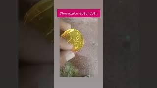 Chocolate Gold Coin 🪙