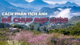 Cách phân tích ảnh để chụp đẹp hơn!