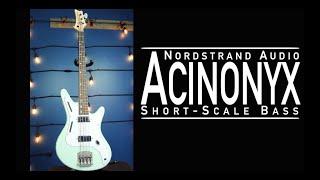 Nordstrand Audio Acinonyx Bass Demo