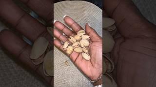 Go NUTS over Pistachios! Loaded with nutrients. Hair and Heart Health 