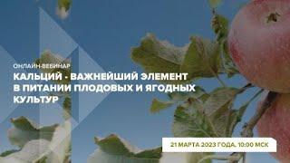 Онлайн-вебинар "Кальций - важнейший элемент в питании плодовых и ягодных культур"