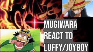 One Piece Reacts to Luffy - Mugiwara Crew (Official Gacha Club)