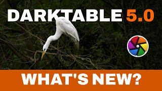 Darktable 5.0: What's new? LOTS!