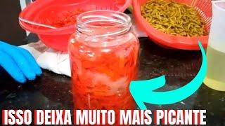 [PICANTE D+] COMO fazer SUA CONSERVA de PIMENTA  ficar MAIS ARDIDA mais FORTE | CONSERVA MINEIRA