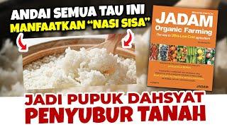 ANDAI SEMUA TAU PUPUK DAHSYAT INI.!!! Suburkan Tanah Cukup Dengan Nasi | JADAM ORGANIK