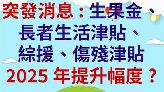 突發消息  |  生果金、長者生活津貼、綜援、傷殘津貼 各津貼金額新方向?  |  2025年提升幅度?