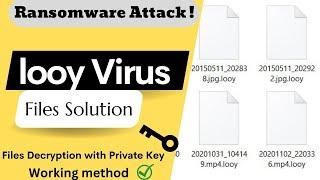 Looy Virus Solution | [.looy] files Decrypt & Removal Guide | Looy files Recovery