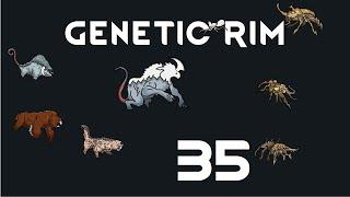 Let's Play Genetic Rim - 35 - Rimworld Royalty 1.1 Gameplay