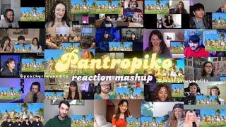 BINI - PANTROPIKO️ Performance video | reaction mashup