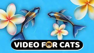 CAT GAMES - Catching Fish! Video for Cats | CAT TV | 1 Hour.