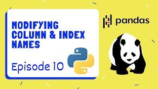 Renaming Columns & Indicies - Pandas | Python ~ Episode 10