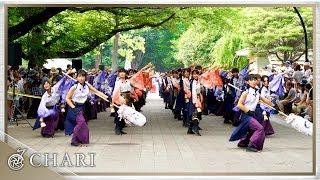 【4K】早稲田大学東京花火｜舞灯籠（光が丘よさこい2017）