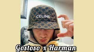 Gostoso x Harman Mix ( Official Music Video )