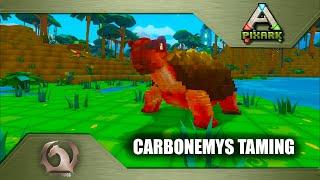 Pixark - Carbonemys taming