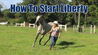 How To Start Liberty Training (The Basics)