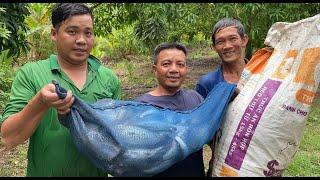 Trúng Mánh Đàn Cá Mấy Chục Ký Anh Em Bắt Đã Tay Bữa Nay Luôn | Cù Lao Dung Vlogs