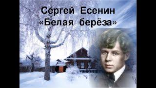 муз  Михаил Оводов  -  Белая береза - Есенин С. А