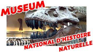 PARIS | Museum national d'histoire naturelle | Paléontologie et anatomie comparée