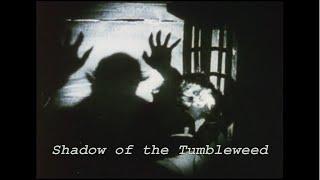 Shadow of the Tumbleweed - Samuel Blues & Miha Erič