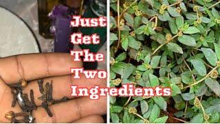 If you know this herb your money is safe #uk #canada #usa #lawofattraction #manifestation