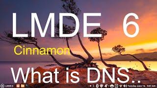 LMDE 6 - Cinnamon - What is DNS.
