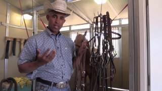 HOW TO CHOOSE THE PROPER BRIDLE FOR YOUR HORSE