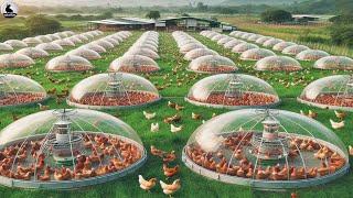 Granja con una serie de gallineros móviles | Agricultura inteligente