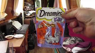 Demonstrating the "Dreamies" effect on cats - Merry Christmas!