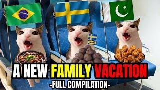 CAT MEMES: THE ULTIMATE FAMILY VACATION HALF HOUR COMPILATION